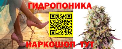 кокс Дубна