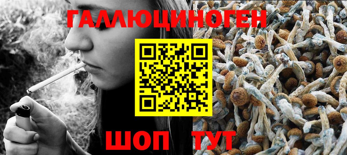 Псилоцибиновые грибы мицелий  Вход с VPN  Магадан 