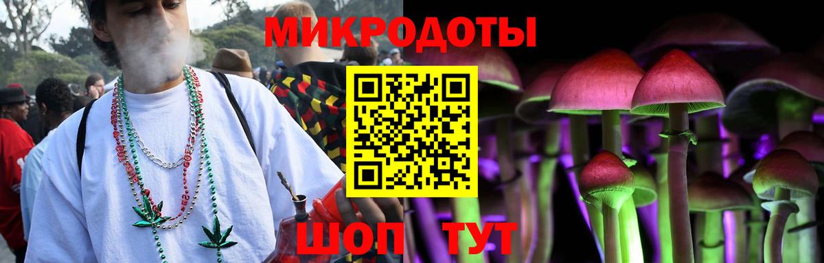 Галлюциногенные грибы мухоморы Магадан