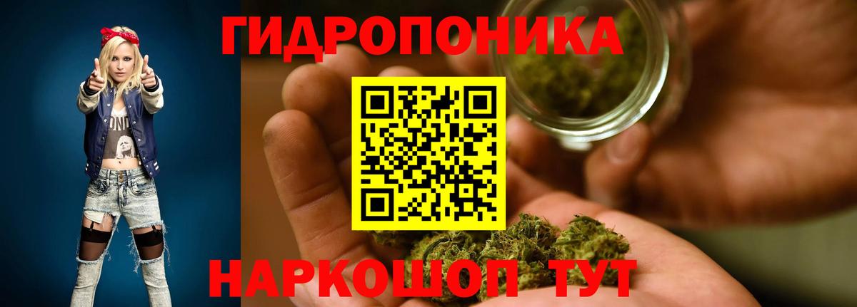 Каннабис Bruce Banner Магадан